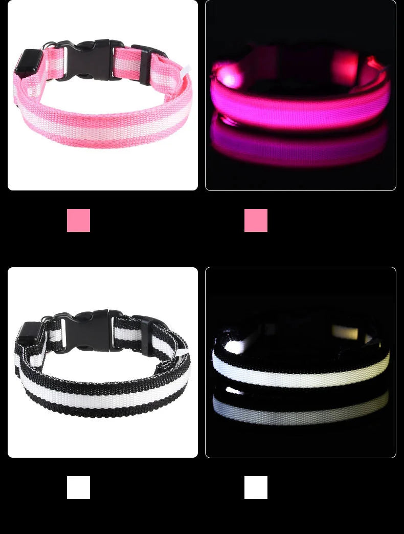 LED Dog Leash – Glow in the Dark Safety Collar