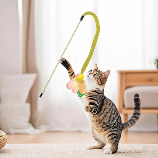 cat toy
