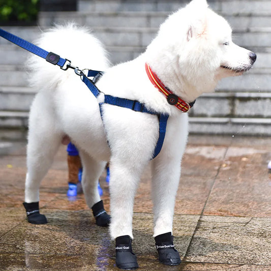 water resistant dog shoes