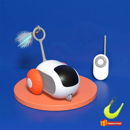 cat toy