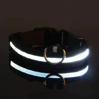 LED Nylon Dog Leash & Collar – Glow-in-the-Dark Safety for Night Walks