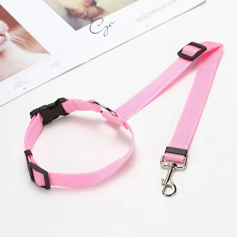 pet seat belt