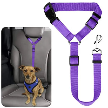 pet seat belt