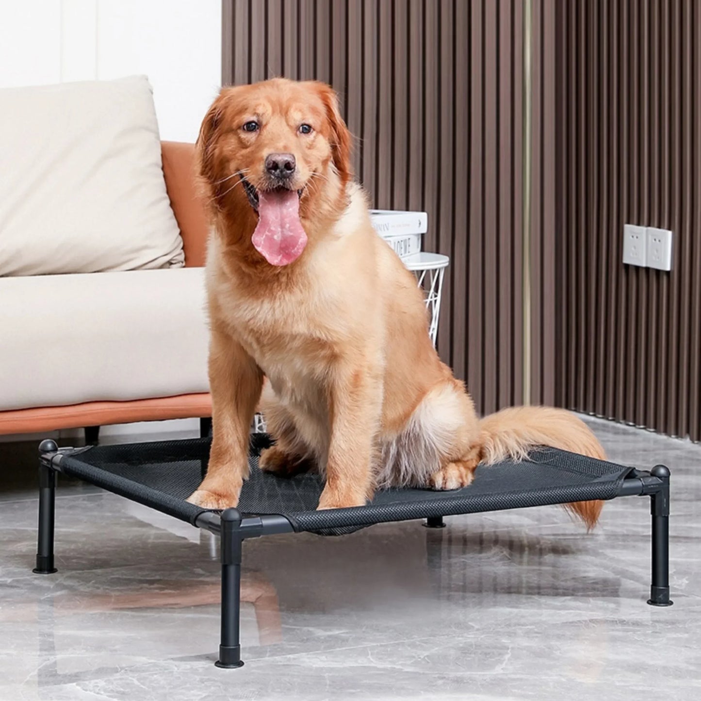 Elevated Pet Bed – Portable Folding Dog & Cat Cot for Indoor/Outdoor Use