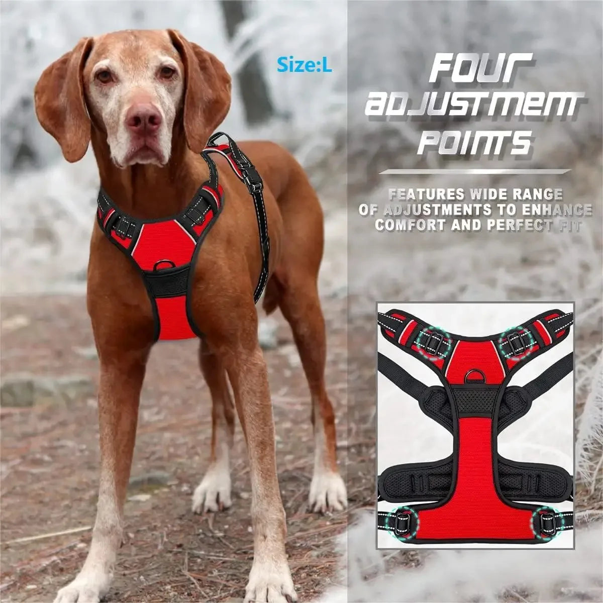 dog harness