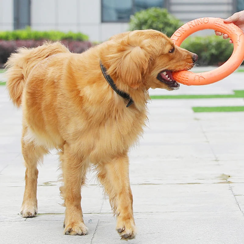 Orange Dog Flying Ring – Durable EVA Puller Toy for Training & Play