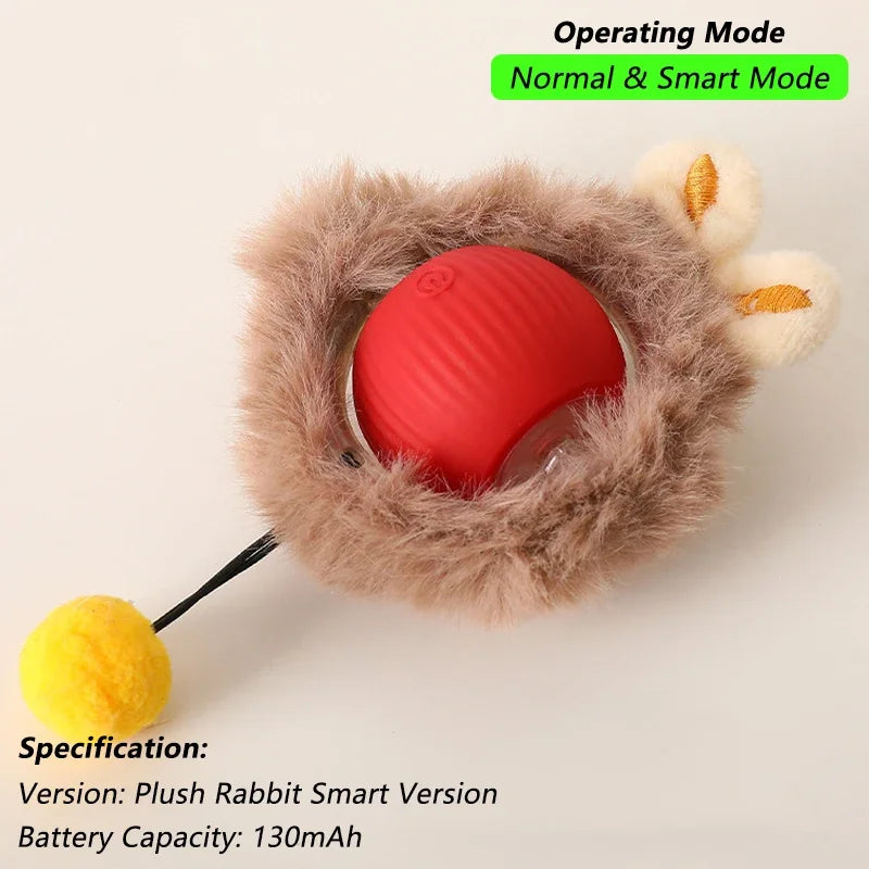cat toy