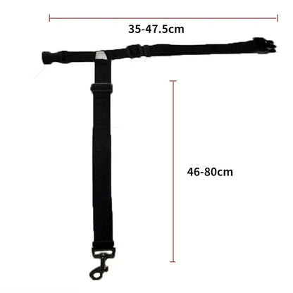pet seat belt