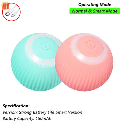 cat toy