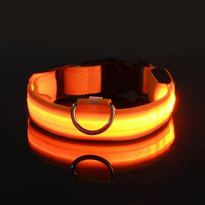LED Nylon Dog Leash & Collar – Glow-in-the-Dark Safety for Night Walks