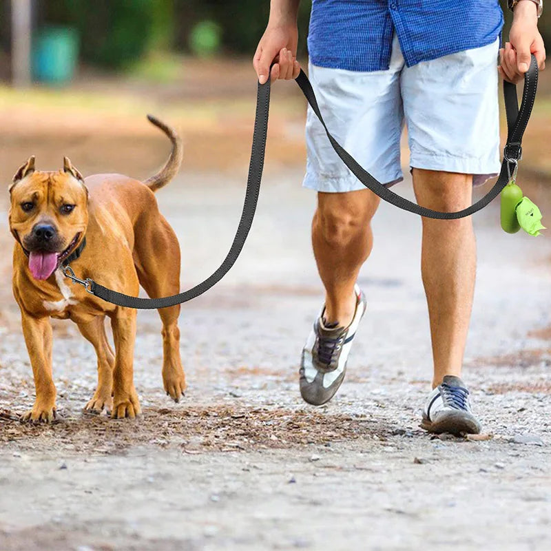 Dog Collar with Reflector