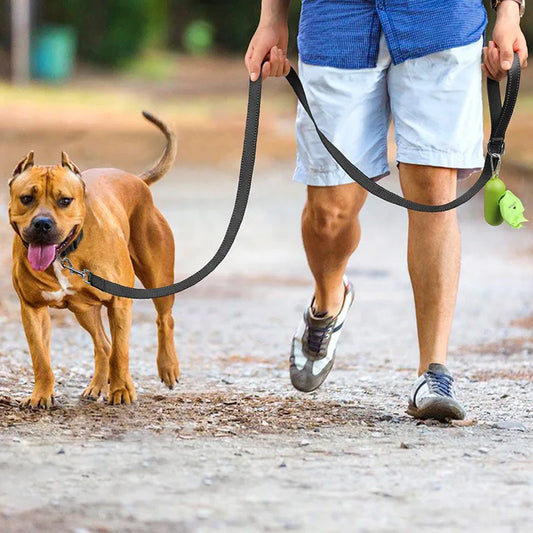 reflector dog collar