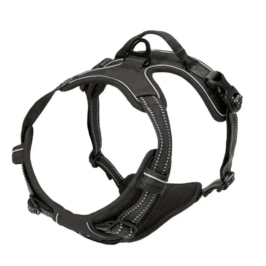 dog harness