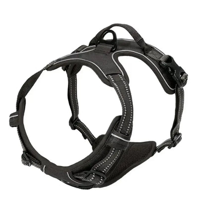 dog harness